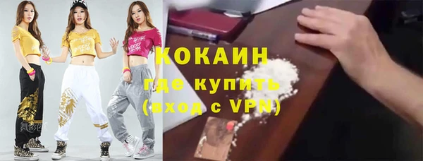кокс Алексин