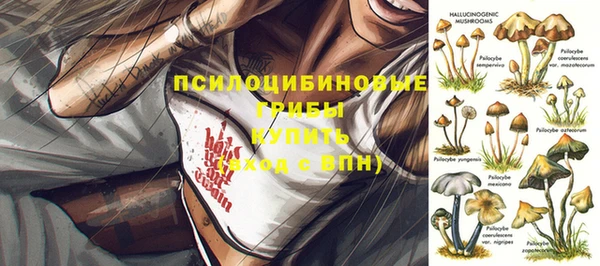 каннабис Алзамай